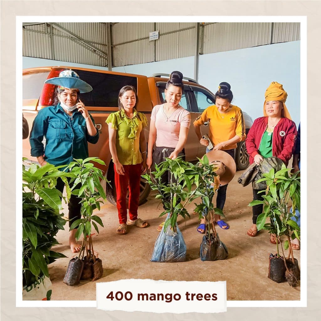 IWCA VIETNAM gives fruit trees to farmers in the NETWORK