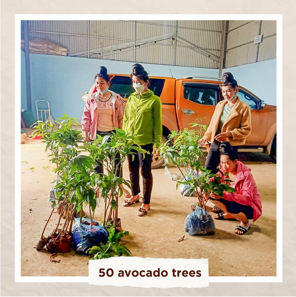 IWCA VIETNAM gives fruit trees to farmers in the NETWORK