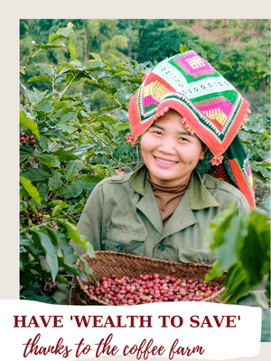 WHAT COFFEE FARMERS SAY ABOUT IWCA Vietnam
