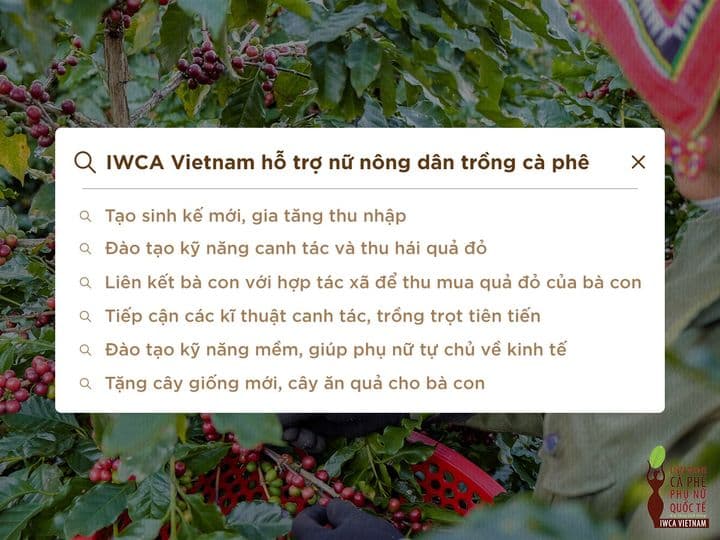 Doanh nghiệp xã hội phi lợi nhuận nhằm cải thiện sinh kế