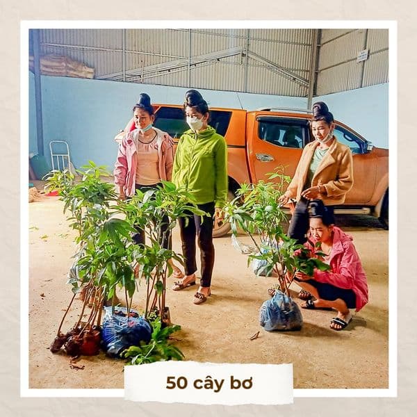 IWCA VIETNAM TẶNG CÂY ĂN QUẢ CHO BÀ CON NÔNG DÂN TRONG MẠNG LƯỚI